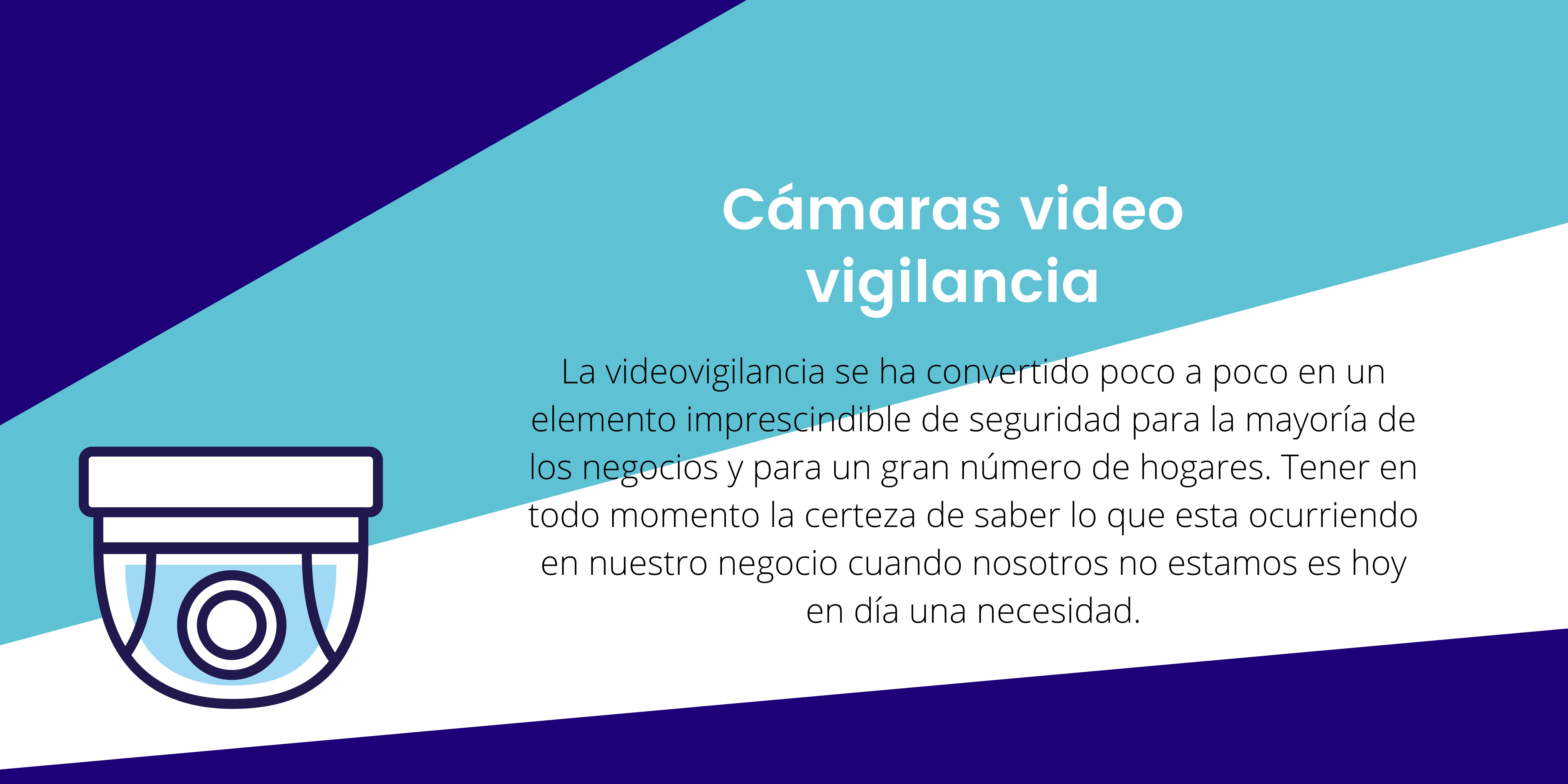 Cámaras de video vigilancia